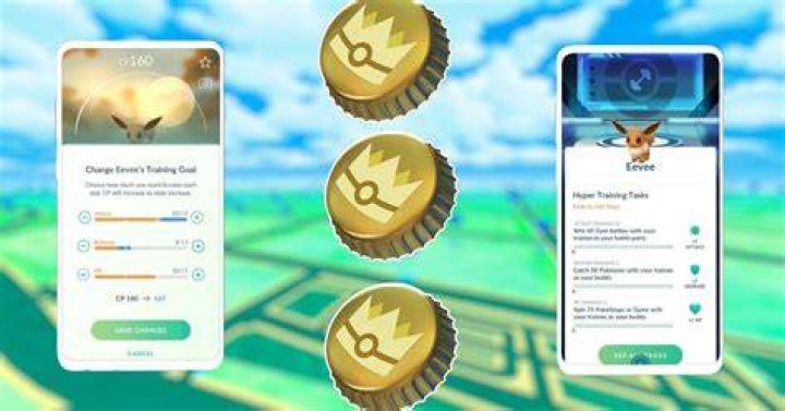 How do you train pokemon go