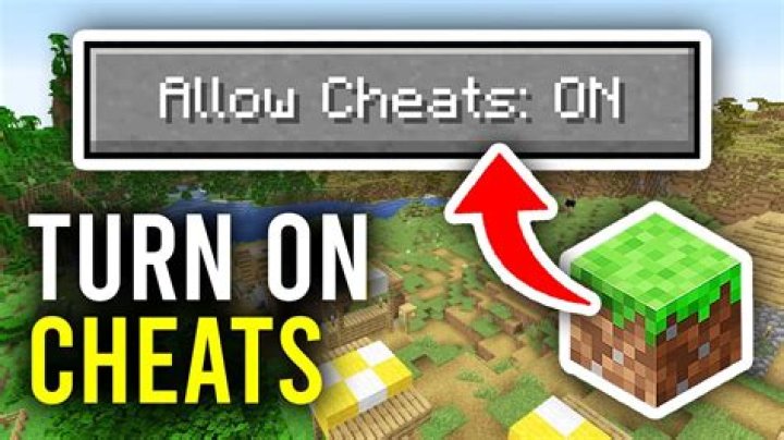 How do you turn cheats on in minecraft