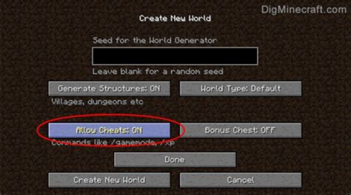 How do you turn on cheats in minecraft
