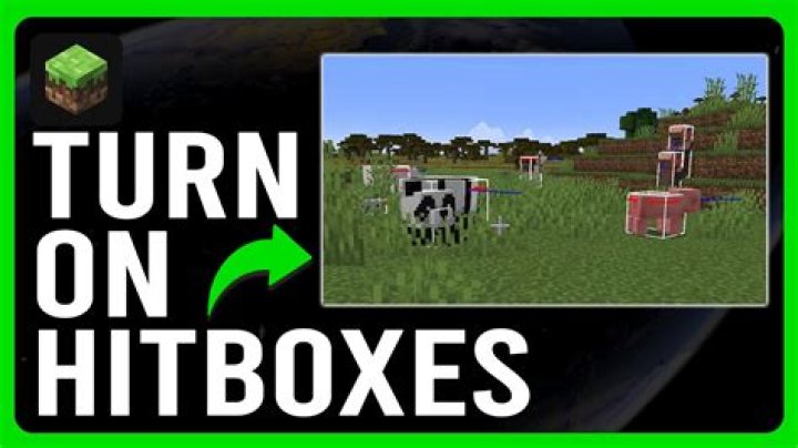 How do you turn on hitboxes in minecraft