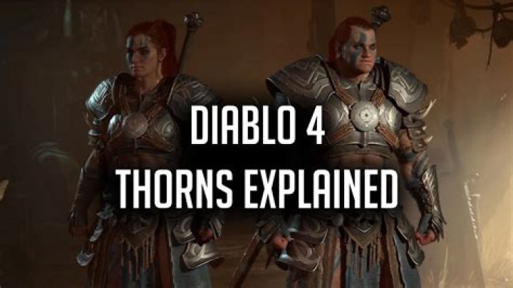 How does thorns work in diablo 3