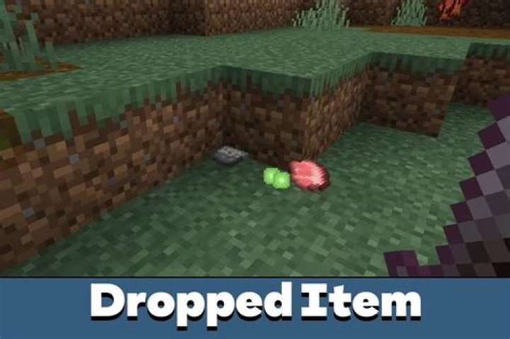 How long do dropped items last in minecraft