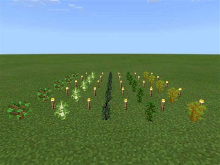 How long do potatoes take to grow minecraft