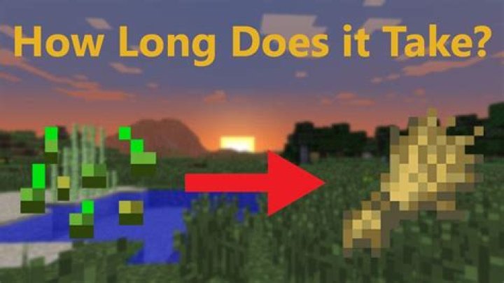How long does wheat take to grow minecraft