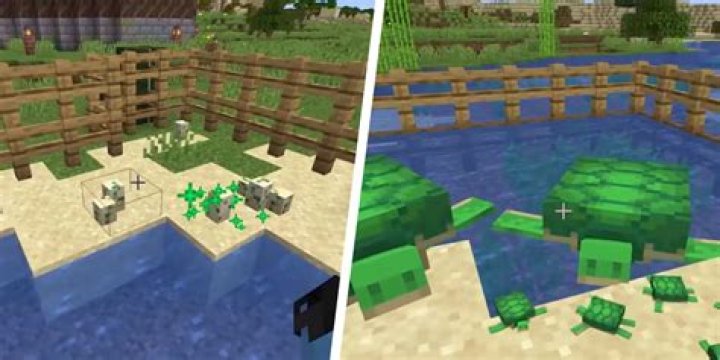 How long for turtle eggs to hatch minecraft