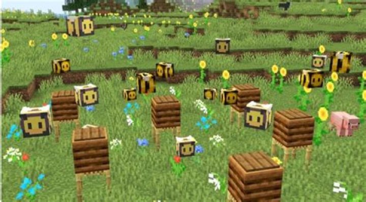 How many bees fit in a hive minecraft