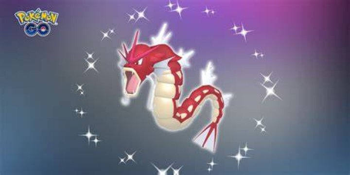 How many magikarp for gyarados pokemon go