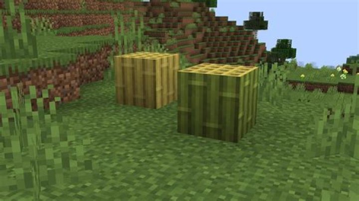How many meters are in a minecraft block