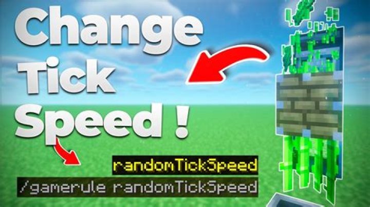 How many minecraft ticks are in a second