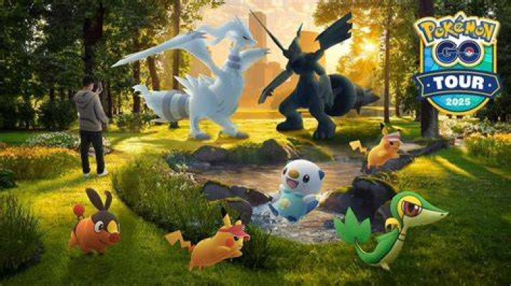 How many players does pokemon go have