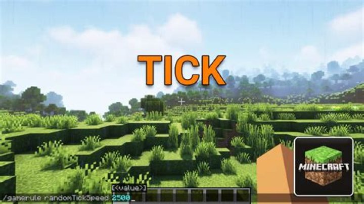 How many ticks are in a second minecraft