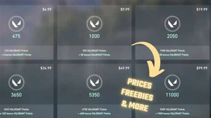 How much does valorant points cost