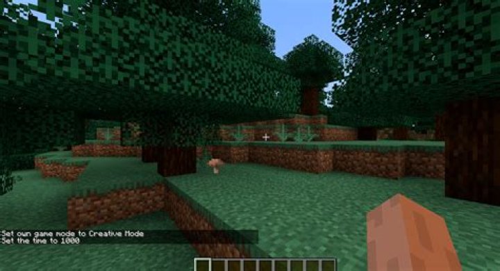 How much minutes are in a minecraft day