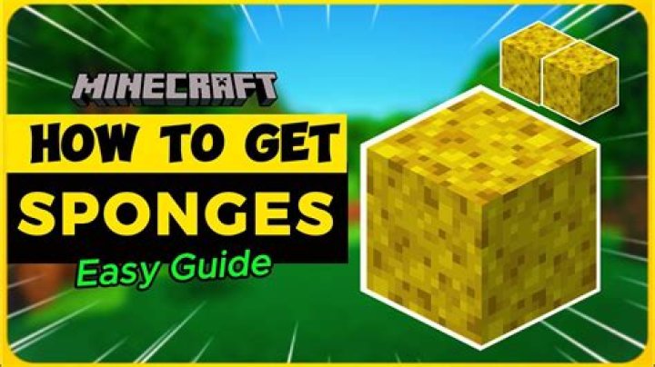 How much water does a sponge absorb minecraft
