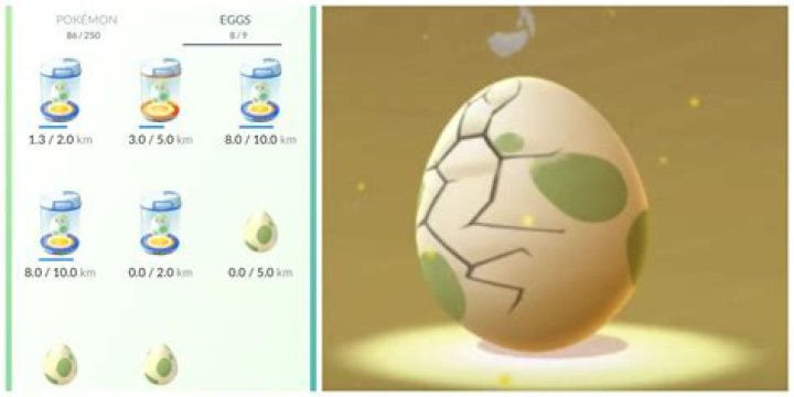 How much xp for hatching eggs pokemon go