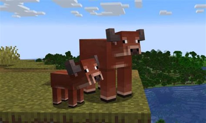 How often can you breed cows in minecraft