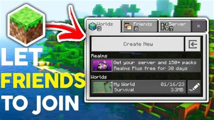 How to add a friend on minecraft java
