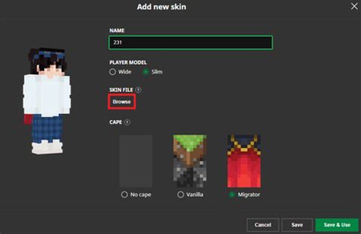 How to add a skin to minecraft java