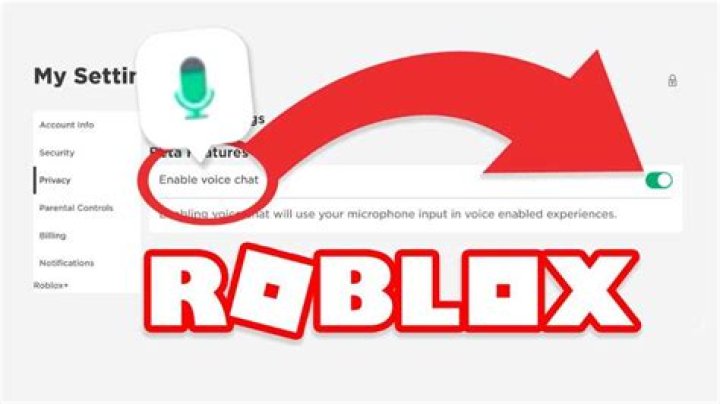 How to add voice chat in roblox