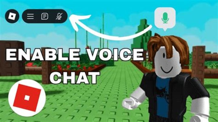 How to add voice chat on roblox