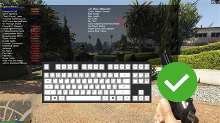 How to ads in gta 5 pc