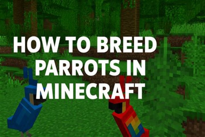 How to breed parrots in minecraft xbox one