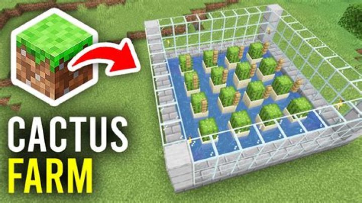 How to build a cactus farm in minecraft