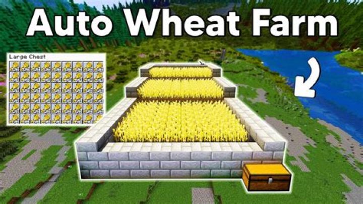 How to build an automatic farm in minecraft