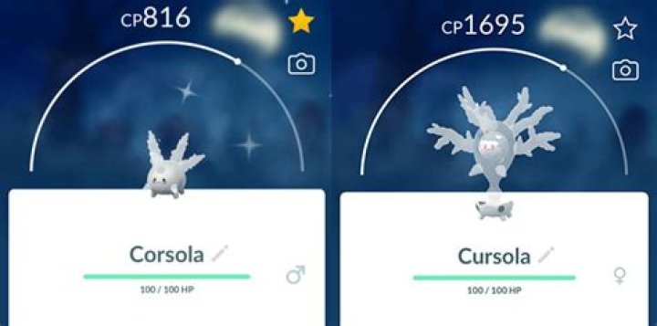 How to catch corsola pokemon go