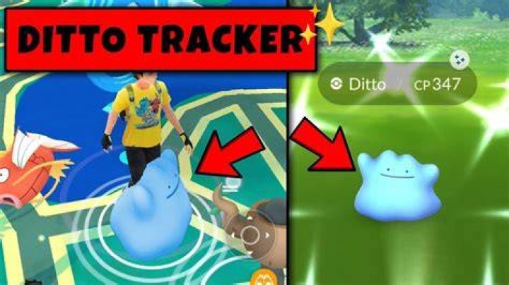 How to catch ditto pokemon go december 2021