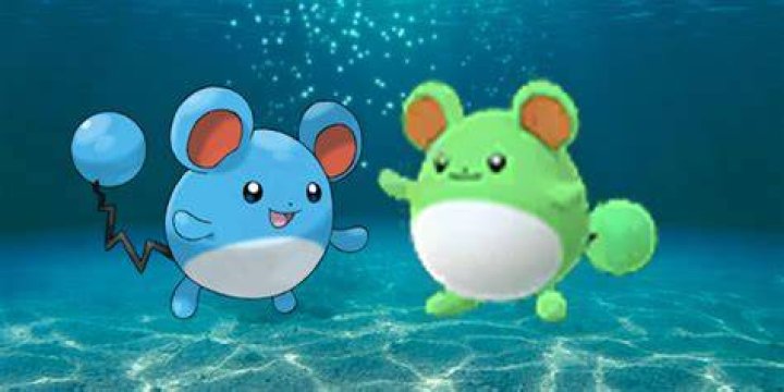 How to catch marill pokemon go