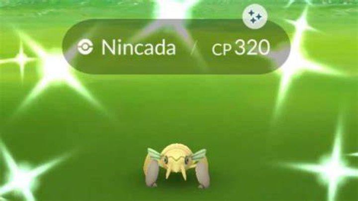 How to catch nincada pokemon go