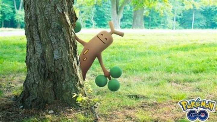 How to catch sudowoodo in pokemon go