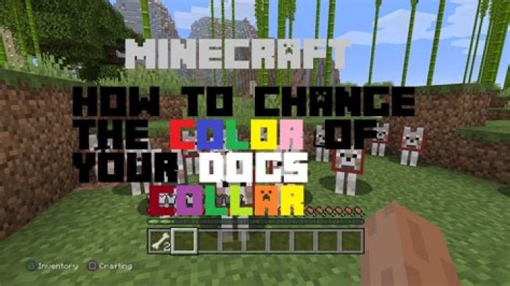 How to change your dogs collar in minecraft
