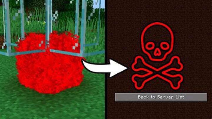 How to crash a minecraft server with cmd