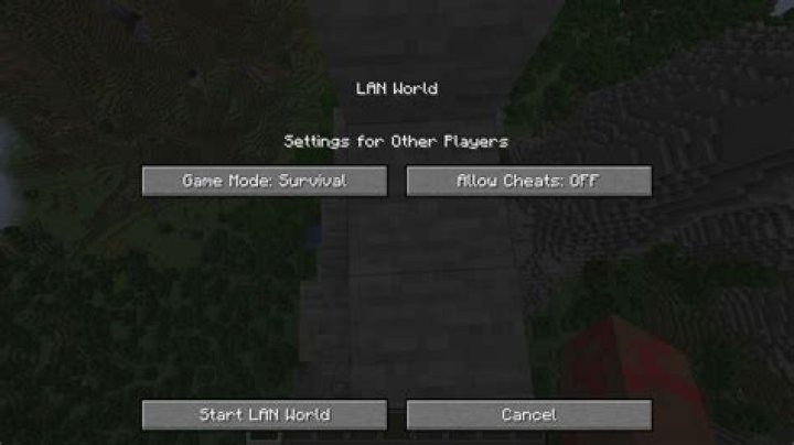 How to do a lan server on minecraft