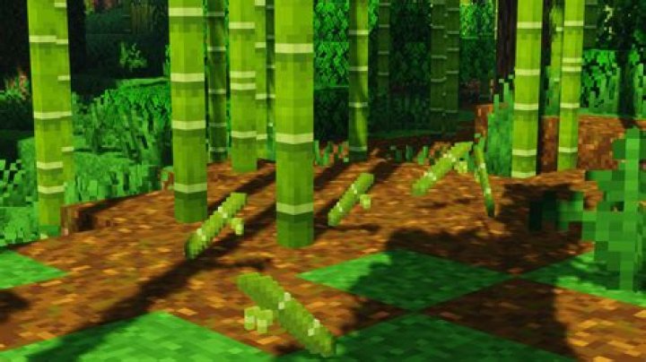 How to find a bamboo forest in minecraft