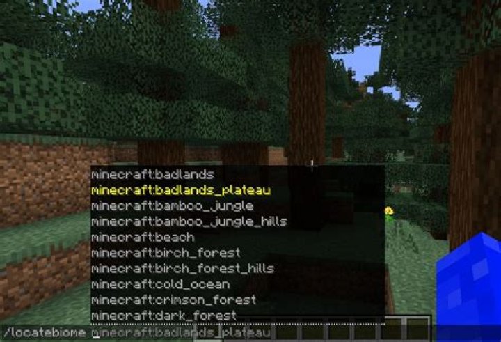 How to find a specific biome in minecraft
