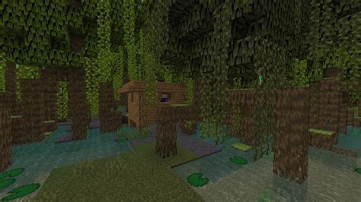 How to find a swamp biome in minecraft
