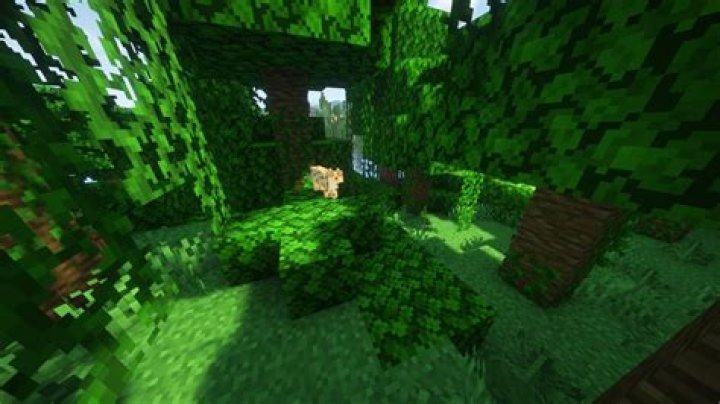 How to find an ocelot in minecraft ps4