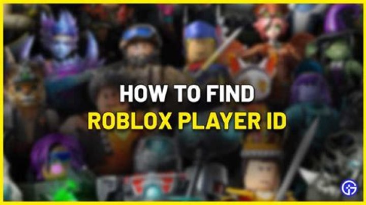 How to find my roblox player id