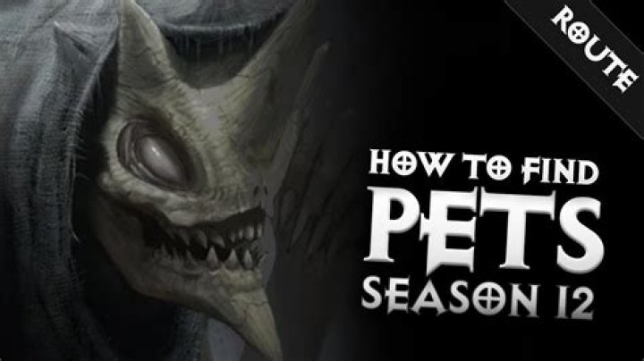 How to find pets in diablo 3