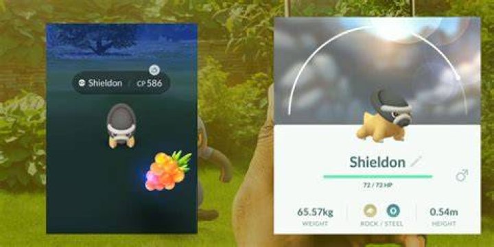 How to find shieldon pokemon go