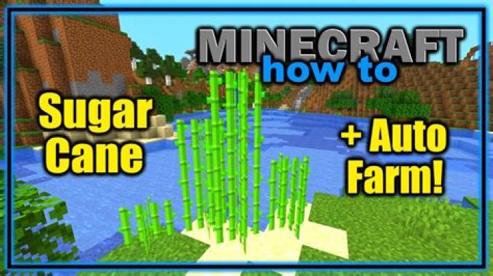 How to find sugar cane in minecraft pe