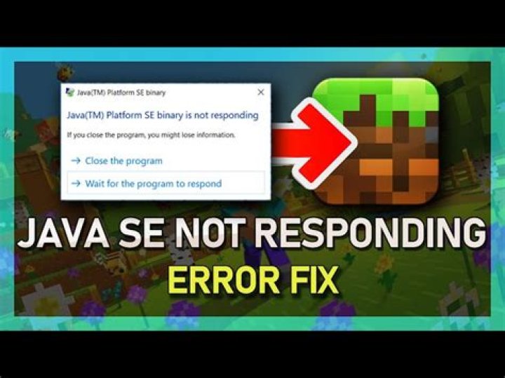 How to fix java se binary for minecraft