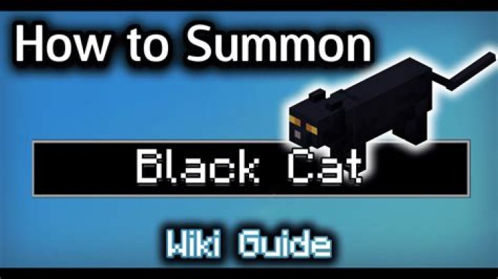 How to get a black cat in minecraft
