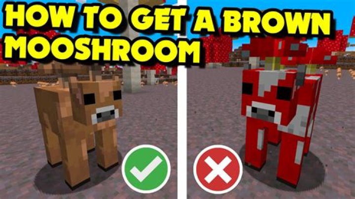 How to get a brown mushroom in minecraft