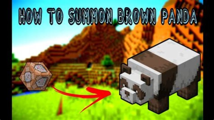 How to get a brown panda in minecraft