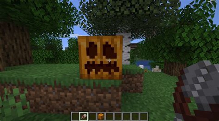 How to get a carved pumpkin on minecraft