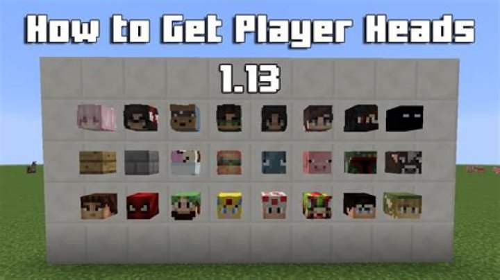 How to get a computer head in minecraft